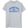 Vêtements Femme T-shirts manches longues Disney Monsters University Logo Gris