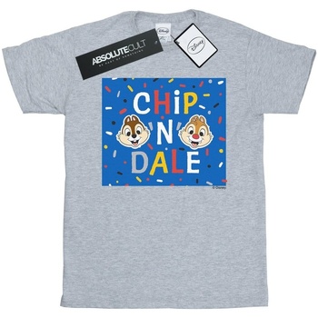 Vêtements Fille T-shirts manches longues Disney Chip N Dale Blue Frame Gris
