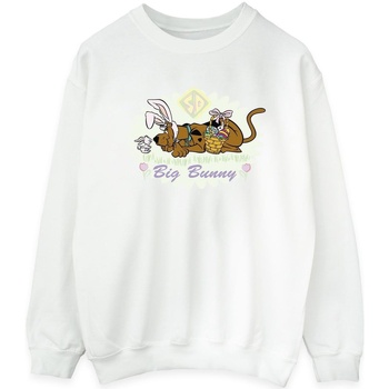 Vêtements Femme Sweats Scooby Doo Big Bunny Blanc