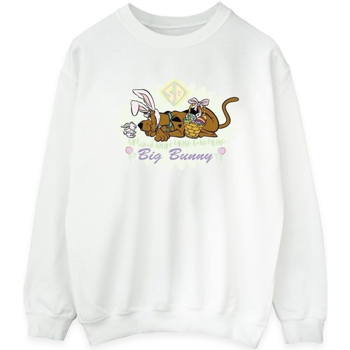 Vêtements Femme Sweats Scooby Doo Big Bunny Blanc