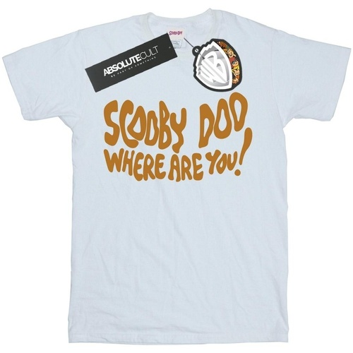 Vêtements Garçon T-shirts manches courtes Scooby Doo Where Are You Spooky Blanc