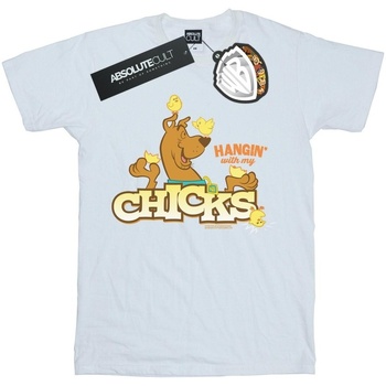Vêtements Garçon T-shirts manches courtes Scooby Doo Hangin With My Chicks Blanc