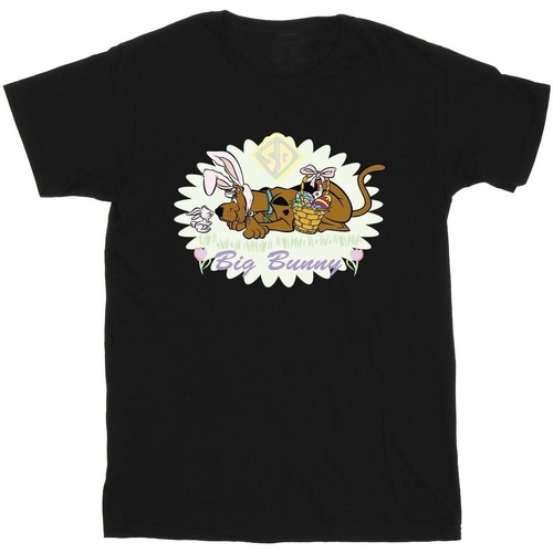 Vêtements Garçon T-shirts manches courtes Scooby Doo Big Bunny Noir