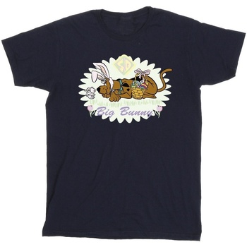 Vêtements Garçon T-shirts manches courtes Scooby Doo Big Bunny Bleu