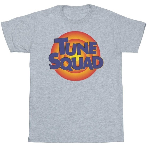 Vêtements Garçon T-shirts manches courtes Space Jam: A New Legacy Tune Squad Logo Gris
