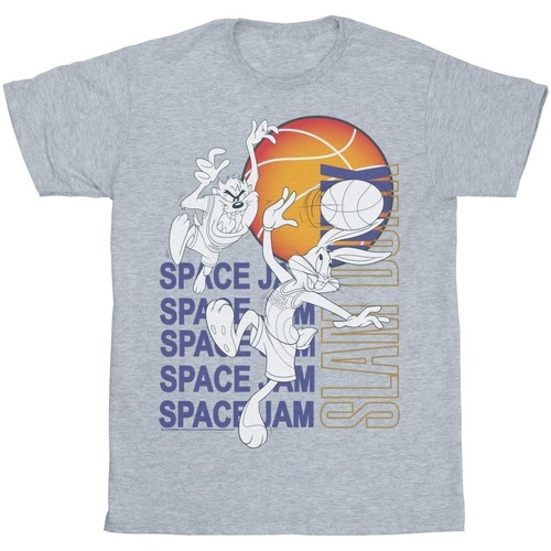Vêtements Garçon T-shirts manches courtes Space Jam: A New Legacy Slam Dunk Alt Gris