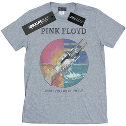 Vêtements Fille T-shirts manches longues Pink Floyd  Gris