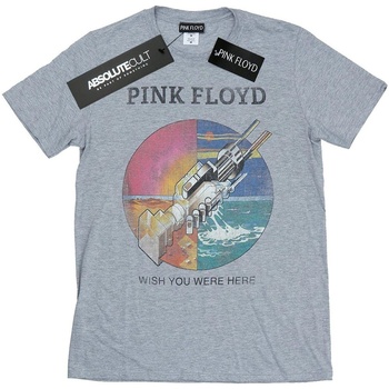 Vêtements Fille T-shirts manches longues Pink Floyd Wish You Were Here Gris