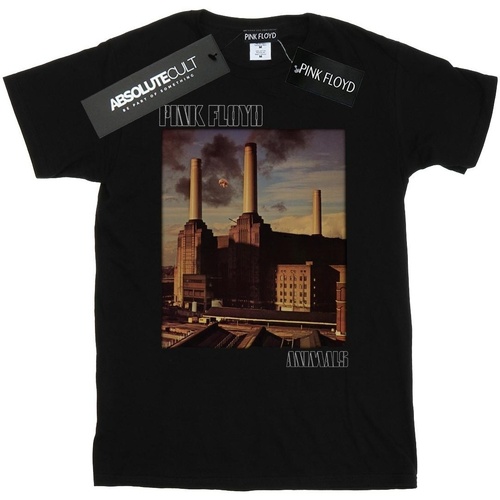 Vêtements Fille T-shirts manches longues Pink Floyd BI50996 Noir