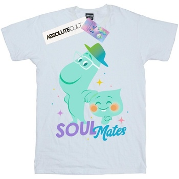 Vêtements Garçon T-shirts manches courtes Disney Soul Joe And 22 Soulmates Blanc