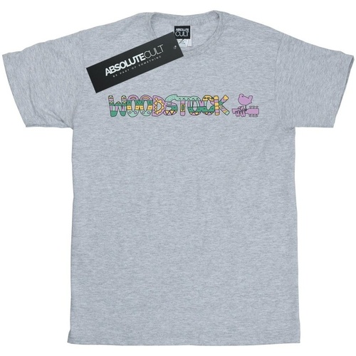 Vêtements Fille T-shirts manches longues Woodstock Aztec Logo Gris