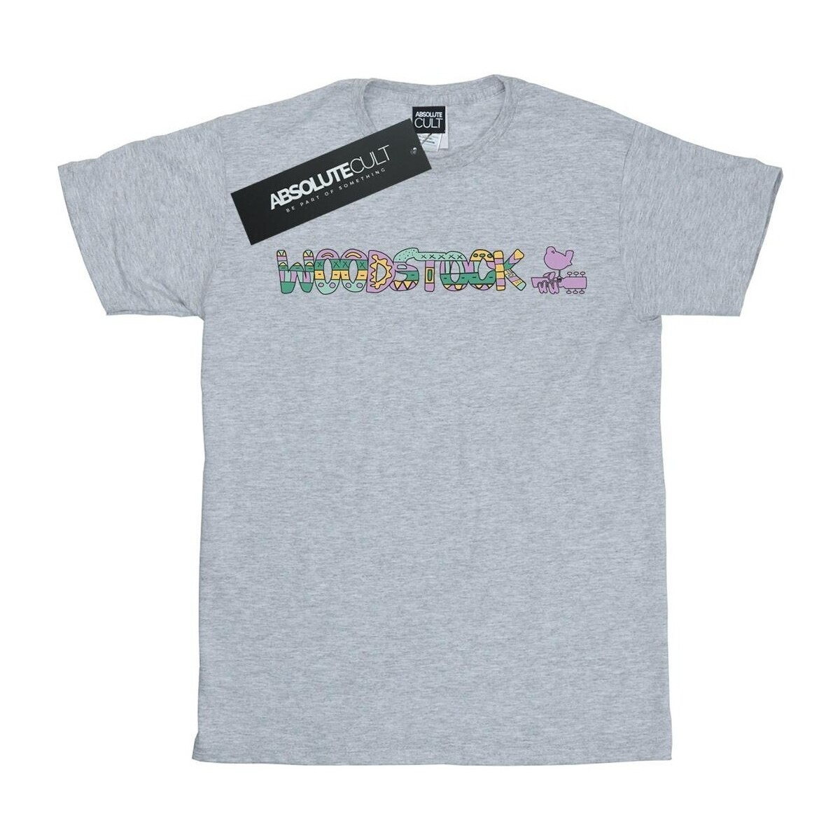 Vêtements Fille T-shirts manches longues Woodstock Aztec Logo Gris