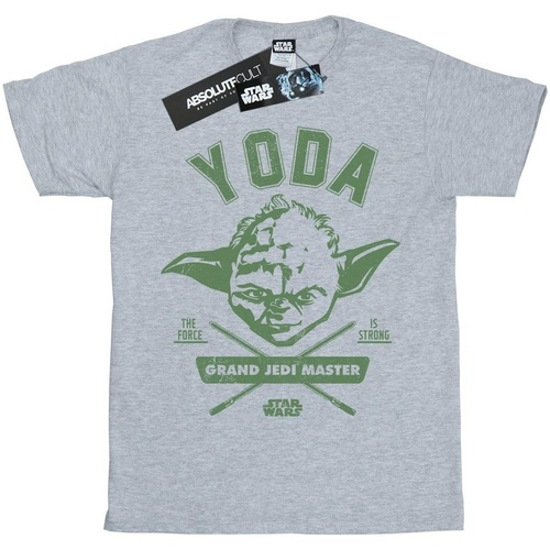 Vêtements Garçon T-shirts manches courtes Disney Yoda Collegiate Gris