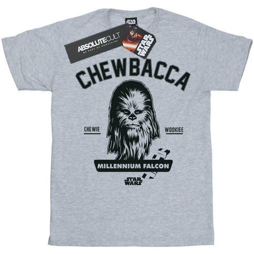Vêtements Garçon T-shirts manches courtes Disney Chewbacca Collegiate Gris
