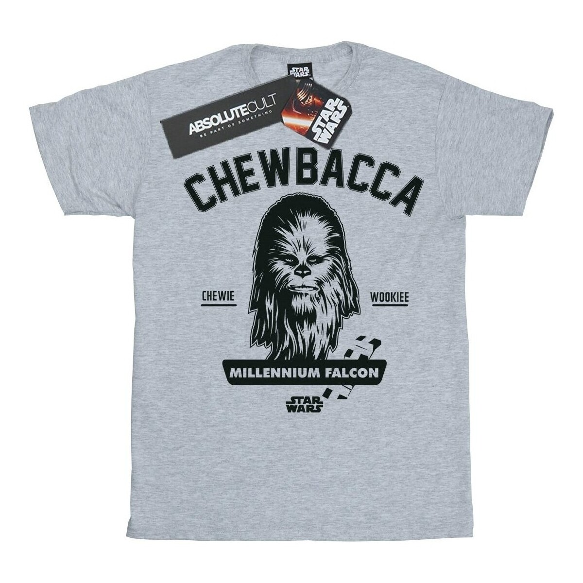 Vêtements Garçon T-shirts manches courtes Disney Chewbacca Collegiate Gris