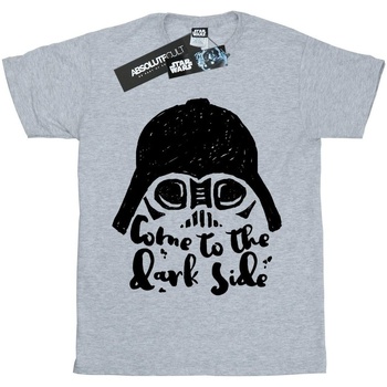 Vêtements Garçon T-shirts manches courtes Disney Darth Vader Come To The Dark Side Sketch Gris