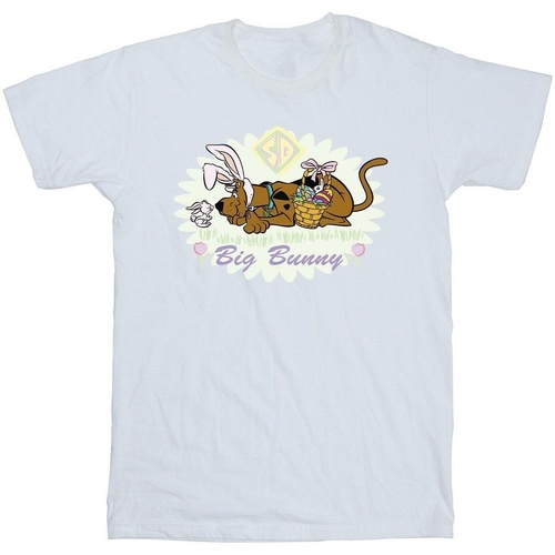 Vêtements Fille T-shirts manches longues Scooby Doo Big Bunny Blanc