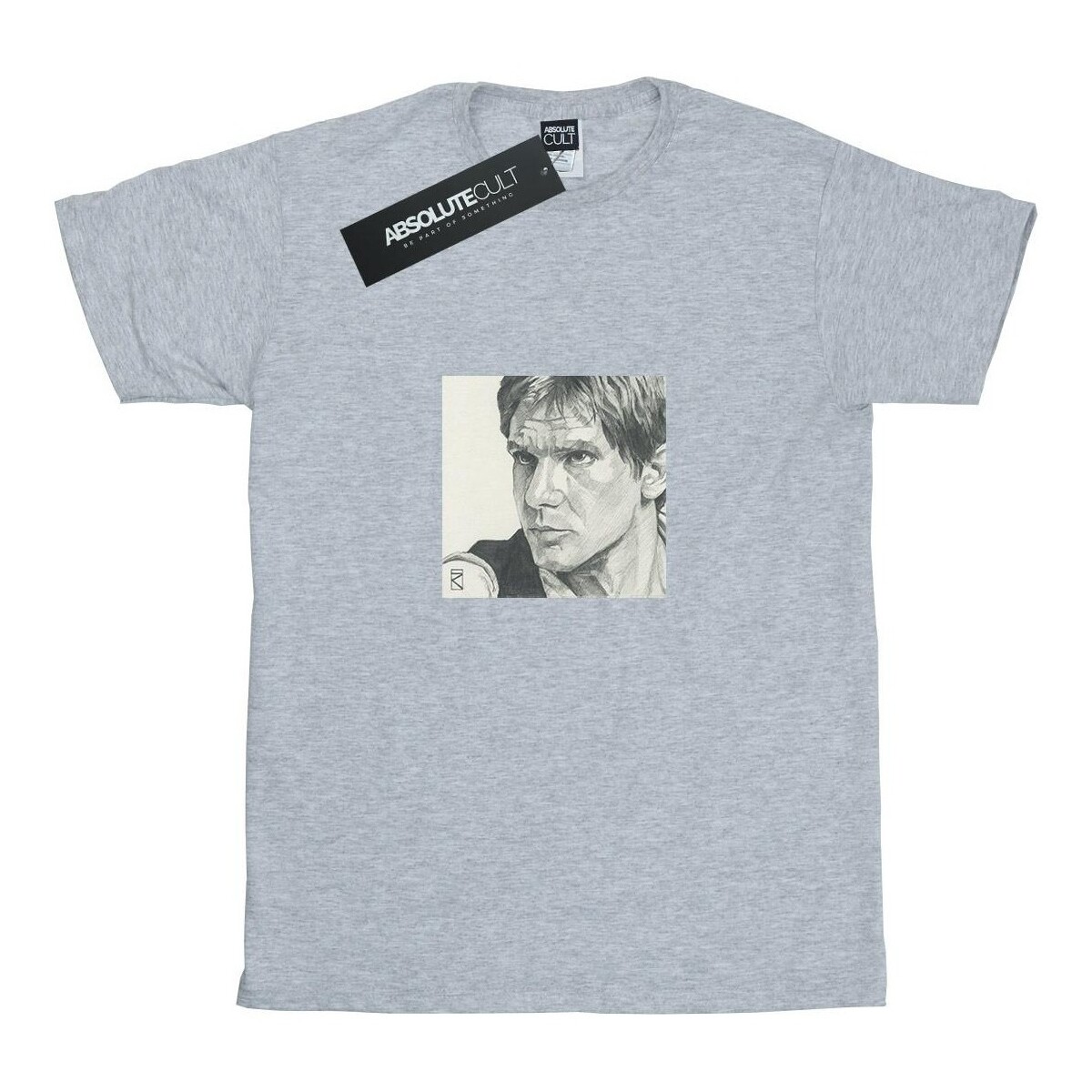 Vêtements Garçon T-shirts manches courtes Disney Han Solo Drawing Gris
