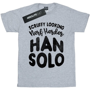 Vêtements Garçon T-shirts manches courtes Disney Han Solo Legends Tribute Gris