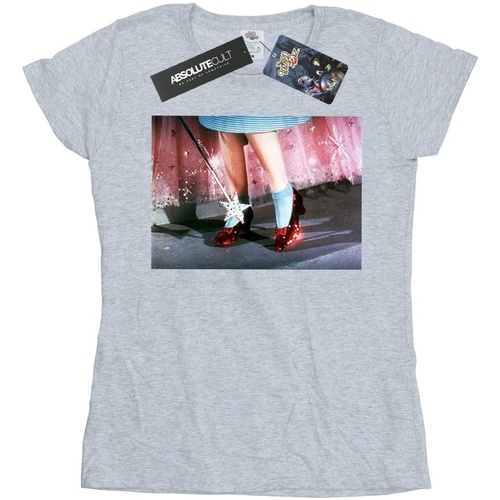 Vêtements Femme T-shirts manches longues The Wizard Of Oz There's No Place Like Home Gris