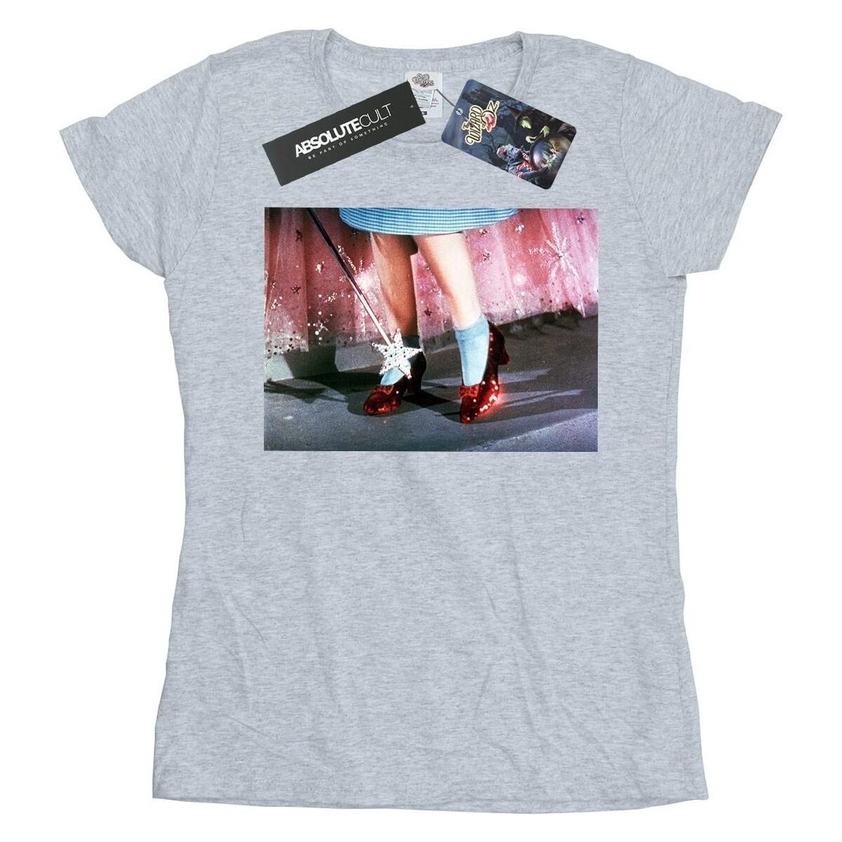 Vêtements Femme T-shirts manches longues The Wizard Of Oz There's No Place Like Home Gris