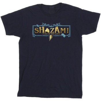 Vêtements Fille T-shirts manches longues Dc Comics Shazam Fury Of The Gods Golden Logo Bleu