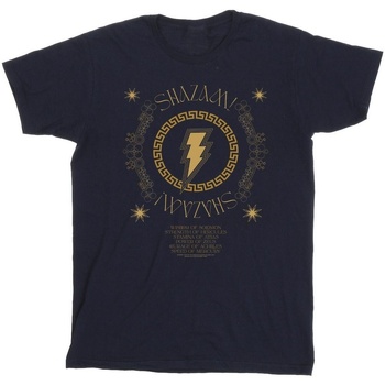 Vêtements Fille T-shirts manches longues Dc Comics Shazam Fury Of The Gods Golden Spiral Chest Bleu
