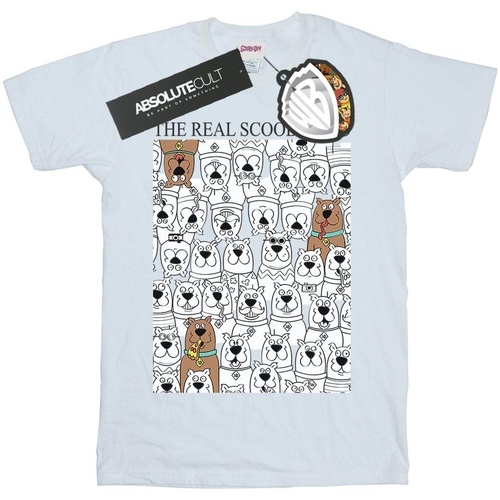 Vêtements Femme T-shirts manches longues Scooby Doo The Real Blanc