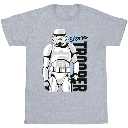 Vêtements Garçon T-shirts manches courtes Disney Storm Trooper Gris