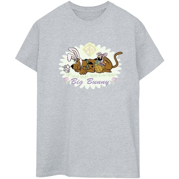 Vêtements Femme T-shirts manches longues Scooby Doo Big Bunny Gris