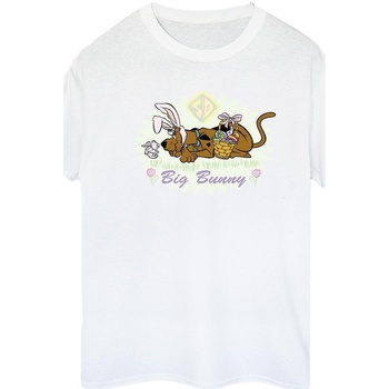 Vêtements Femme T-shirts manches longues Scooby Doo Big Bunny Blanc