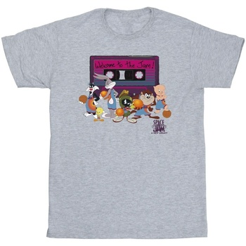 Vêtements Fille T-shirts manches longues Space Jam: A New Legacy Team Cassette Gris