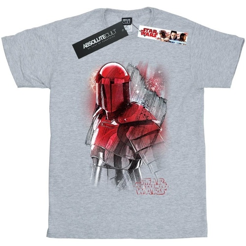 Vêtements Garçon T-shirts manches courtes Disney The Last Jedi Praetorian Guard Brushed Gris