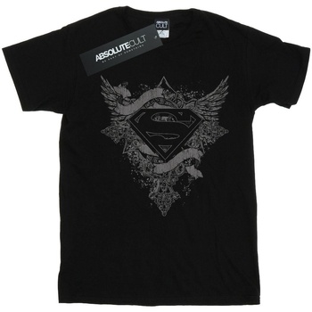 Vêtements Fille T-shirts manches longues Dc Comics Superman Wings Logo Noir