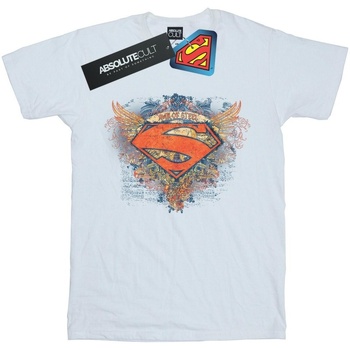 Vêtements Femme T-shirts manches longues Dc Comics Superman Wings Shield Blanc