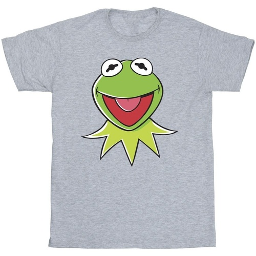 Vêtements Homme T-shirts manches longues Disney Muppets Kermit Head Gris