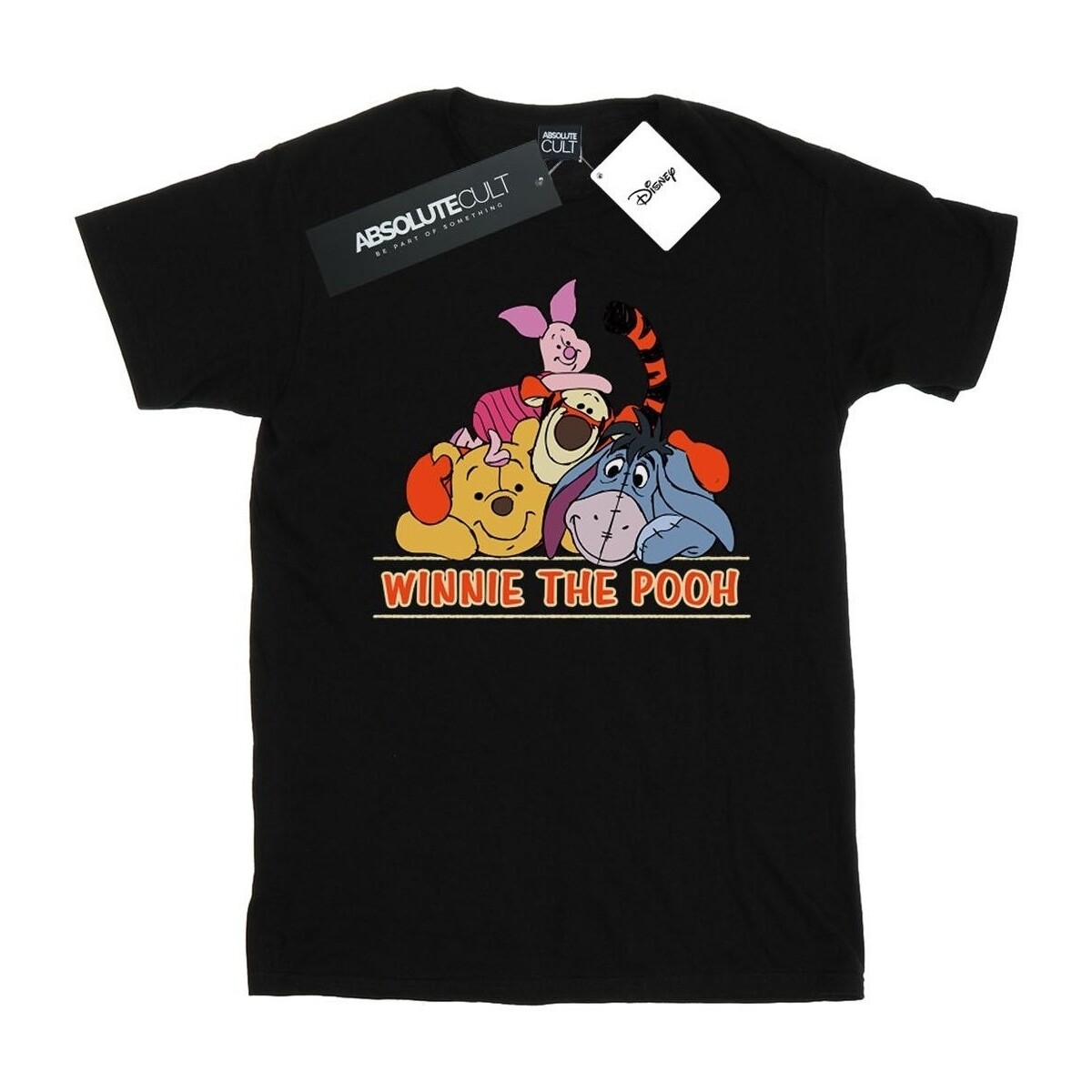 Vêtements Garçon T-shirts manches courtes Disney Winnie The Pooh Group Noir
