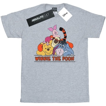 Vêtements Garçon T-shirts manches courtes Disney Winnie The Pooh Group Gris