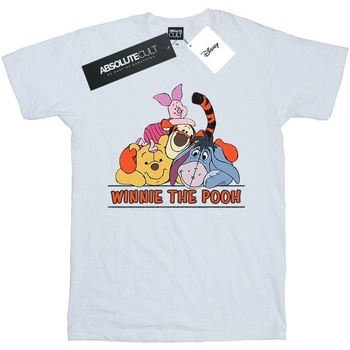 Vêtements Garçon T-shirts manches courtes Disney Winnie The Pooh Group Blanc