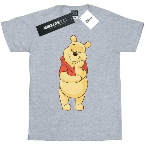 Vêtements Garçon T-shirts manches courtes Disney Winnie The Pooh Cute Gris