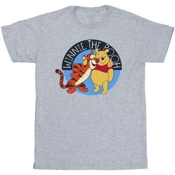 Vêtements Garçon T-shirts manches courtes Disney Winnie The Pooh With Tigger Gris
