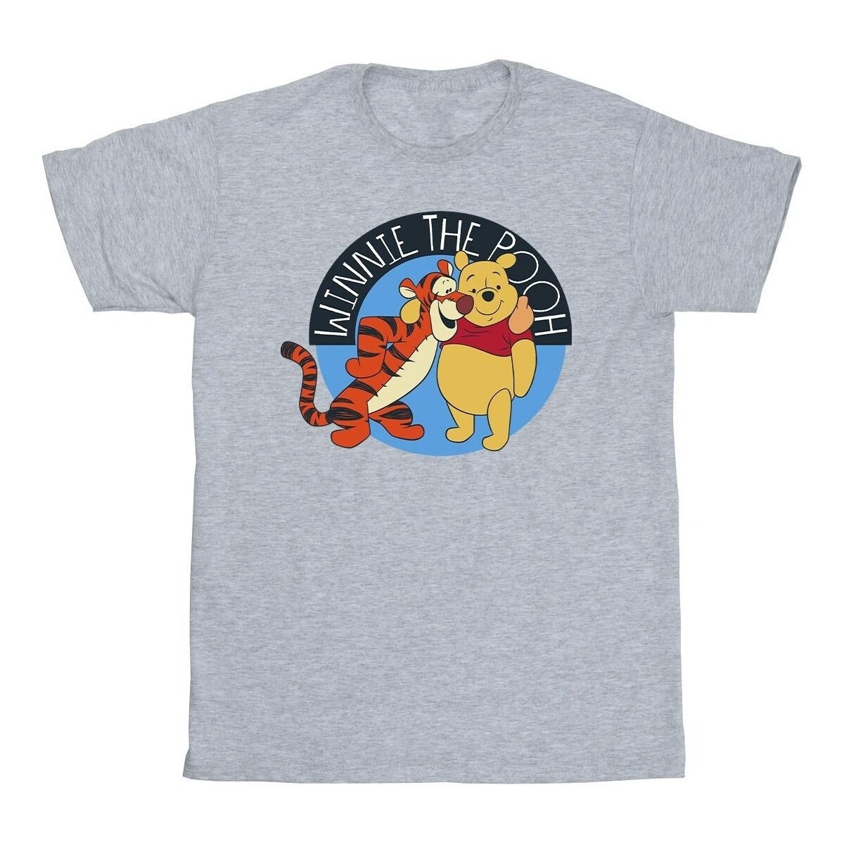 Vêtements Garçon T-shirts manches courtes Disney Winnie The Pooh With Tigger Gris