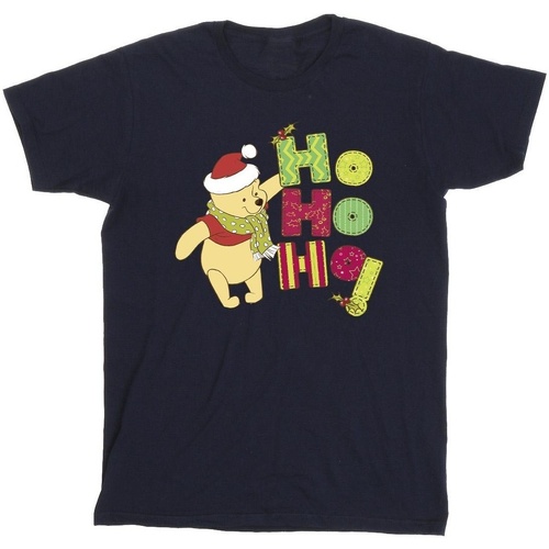 Vêtements Garçon T-shirts manches courtes Disney Winnie The Pooh Ho Ho Ho Scarf Bleu