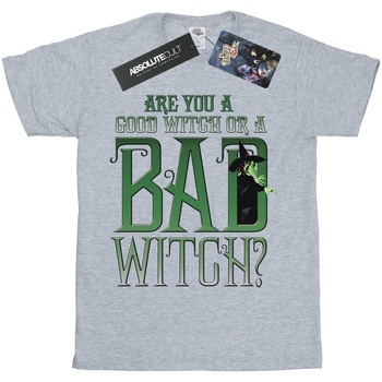 Vêtements Garçon T-shirts manches courtes The Wizard Of Oz Good Witch Bad Witch Gris