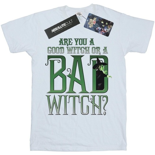 Vêtements Garçon T-shirts & Polos The Wizard Of Oz Good Witch Bad Witch Blanc