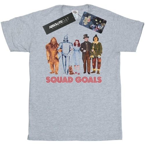 Vêtements Garçon T-shirts manches courtes The Wizard Of Oz Squad Goals Gris