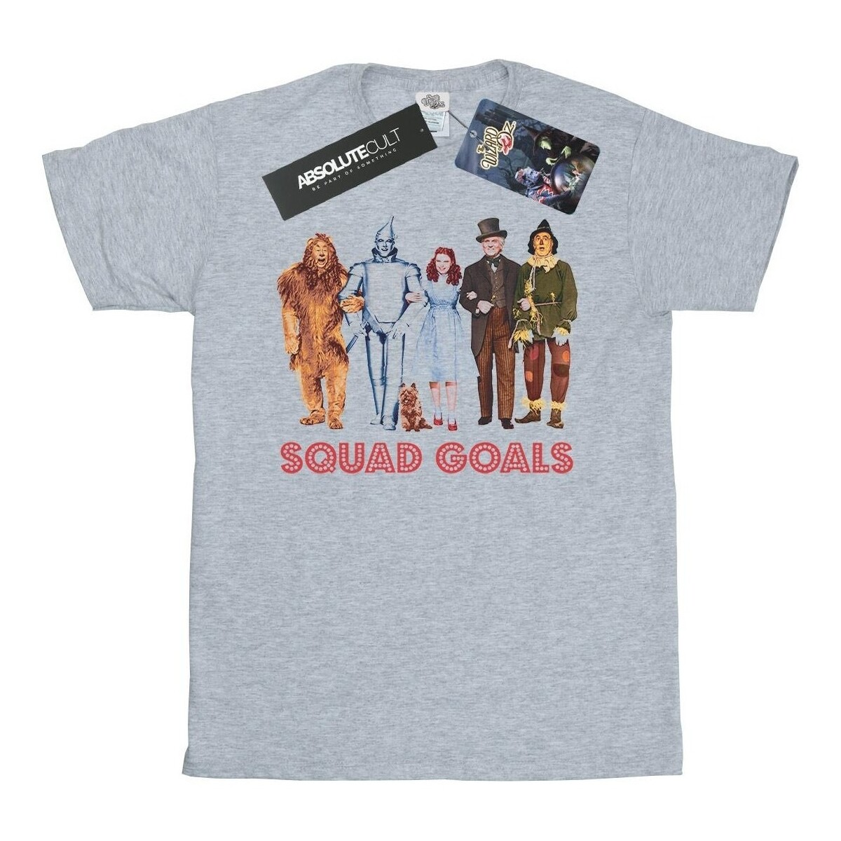 Vêtements Garçon T-shirts manches courtes The Wizard Of Oz Squad Goals Gris