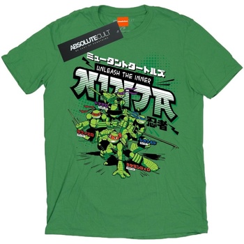 Vêtements Homme T-shirts manches longues Tmnt Unleash The Inner Ninja Vert