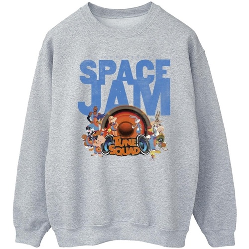 Vêtements Homme Sweats Space Jam: A New Legacy Tune Squad Gris