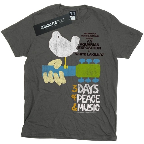 Vêtements Homme T-shirts manches longues Woodstock Festival Poster Multicolore